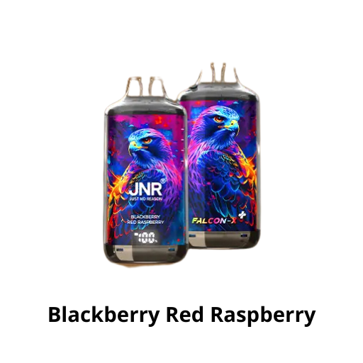 Puff 28k - JNR Falcon X + - Blackberry Red Raspberry