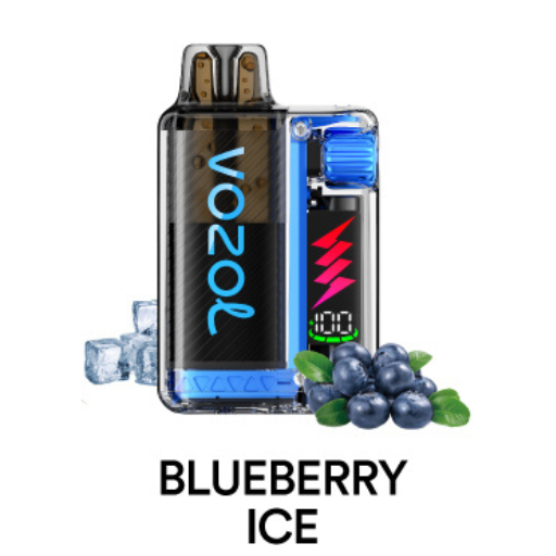 Puff 15k - Vozol VISTA PLUG - Blueberry Ice