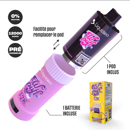 WPuff 12K - Kit Tropical (Batterie + 1 Pod)