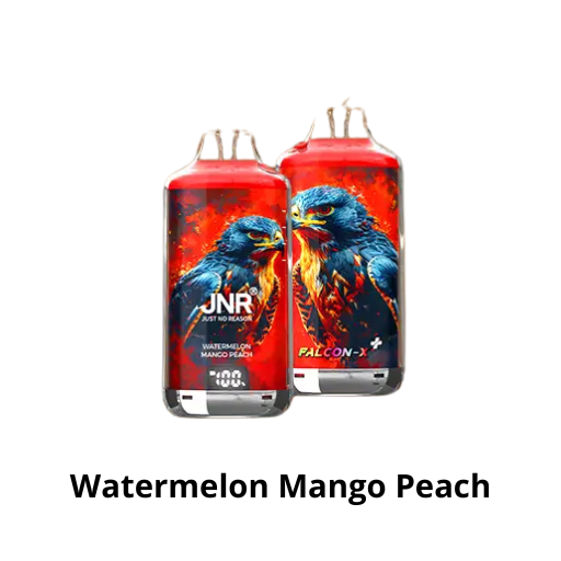 Puff 28k - JNR Falcon X + - Watermelon Mango Peach