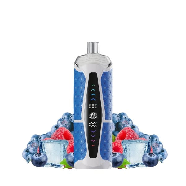 Puff Chicha - Blueberry Raspberry - 25K Starbuzz