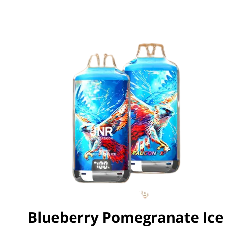 Puff 28k - JNR Falcon X + - Blueberry Pomegranate Ice