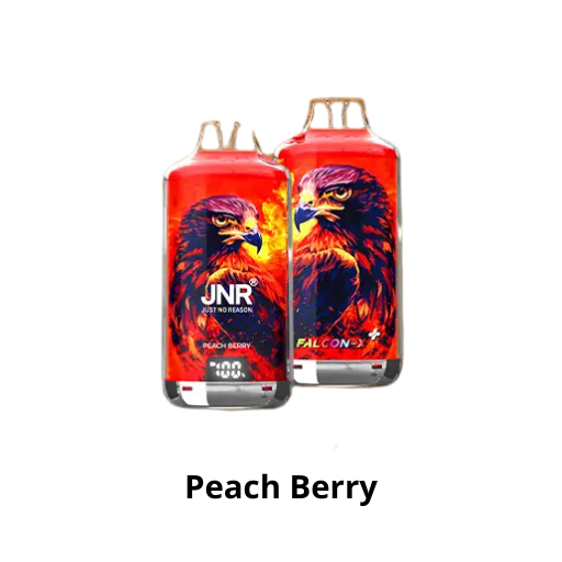 Puff 28k - JNR Falcon X + - Peach Berry