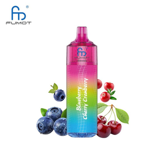 Puff 9K RandM Fumot T9000 - Blueberry Cherry Cranberry