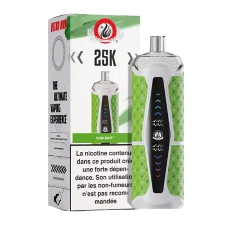 Puff Chicha - Gum Mint - 25K Starbuzz